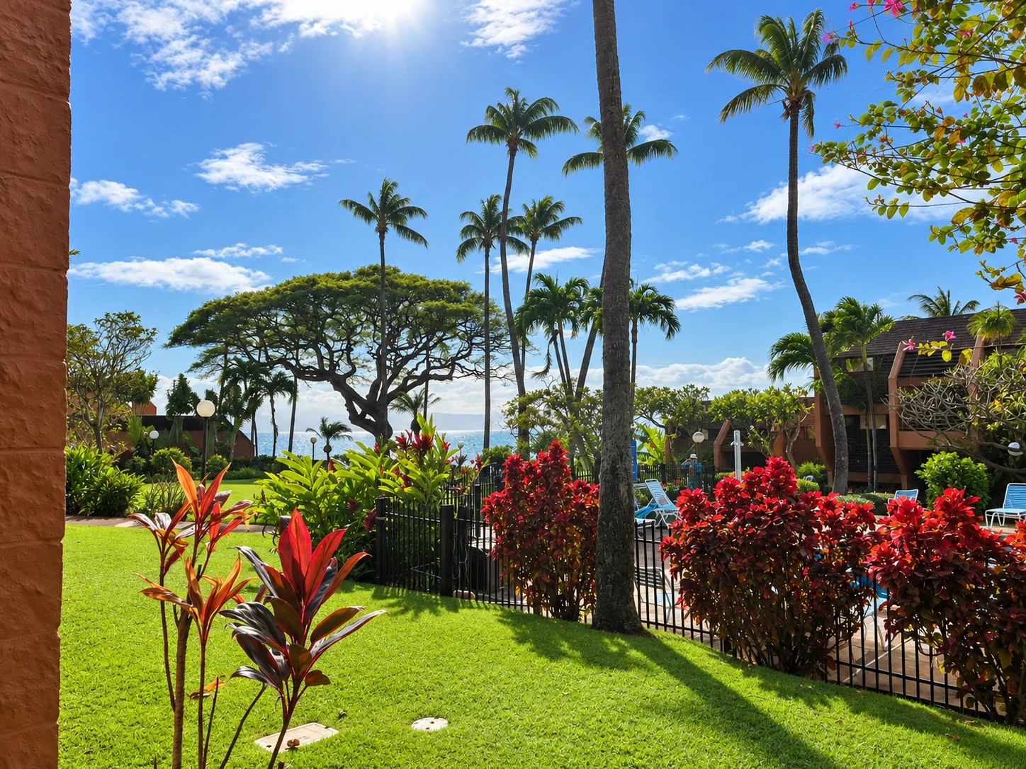 Tropical grounds, pool and ocean