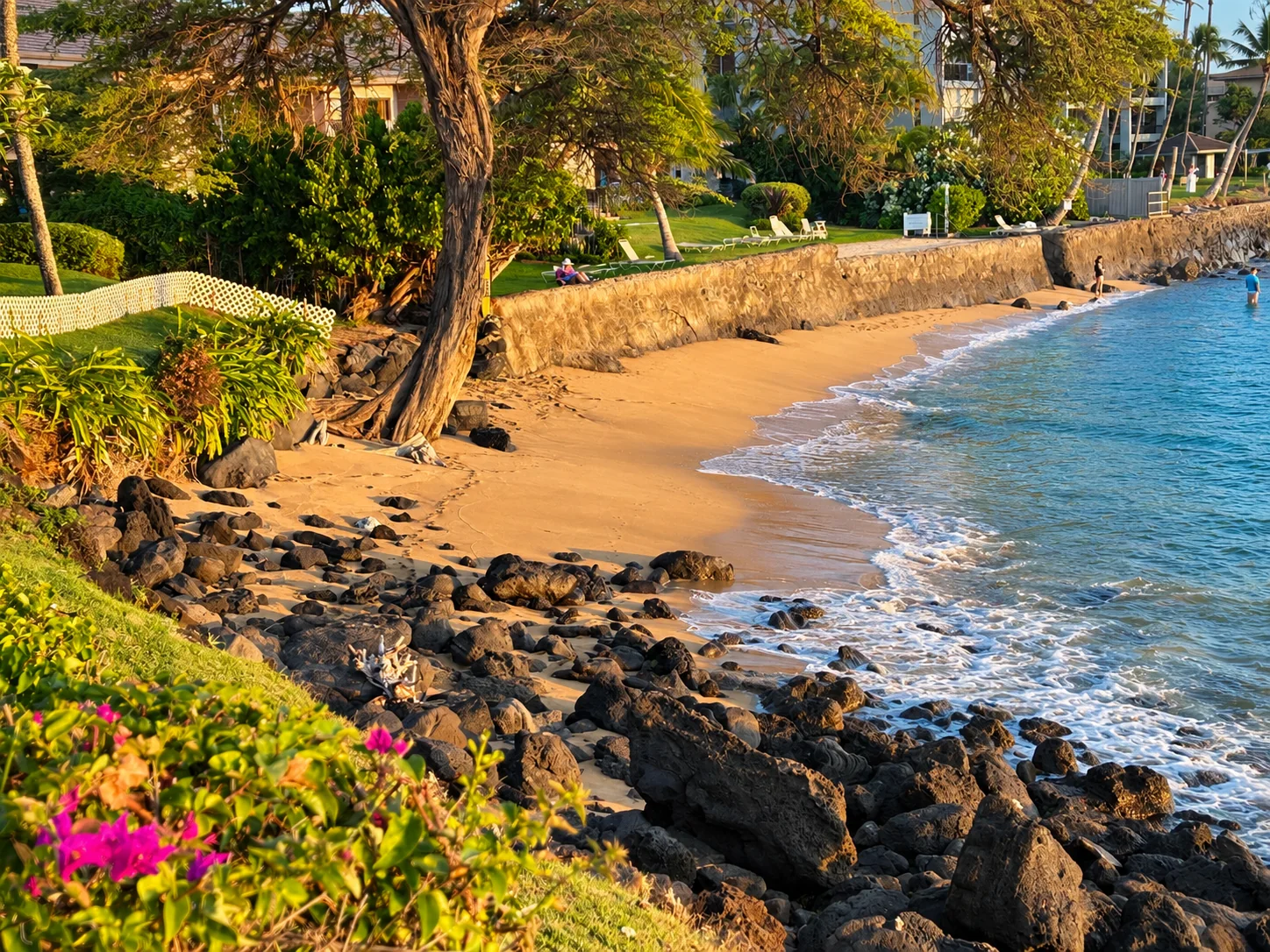 Cove at golden hour